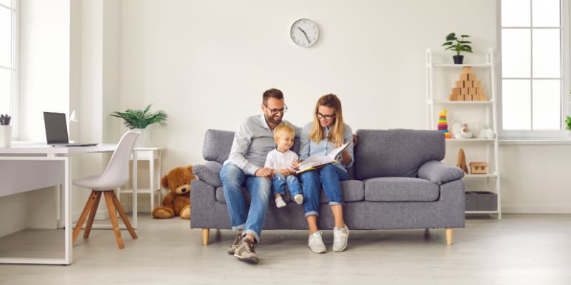 How to Deal with a Raccoon Problem