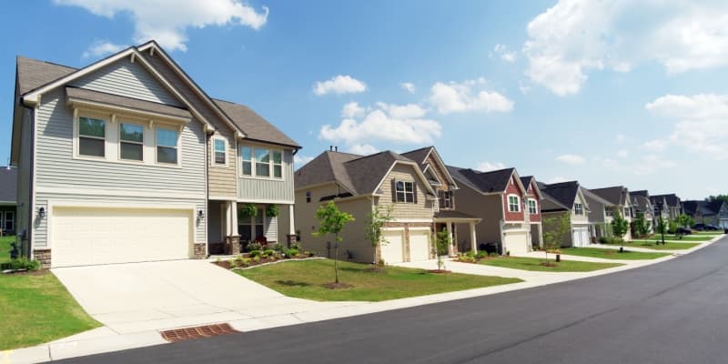 Who’s the Best Exterminator for Residential Homes in Northern Kentucky?