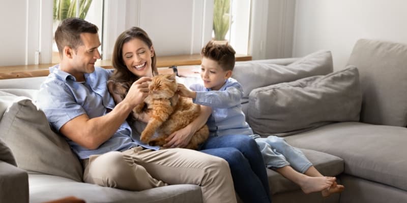 Who’s the Best Pest Control Company in Union, KY for Pet Owners?