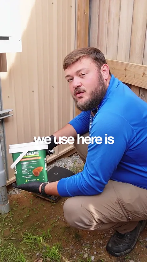 How Bait Stations Work