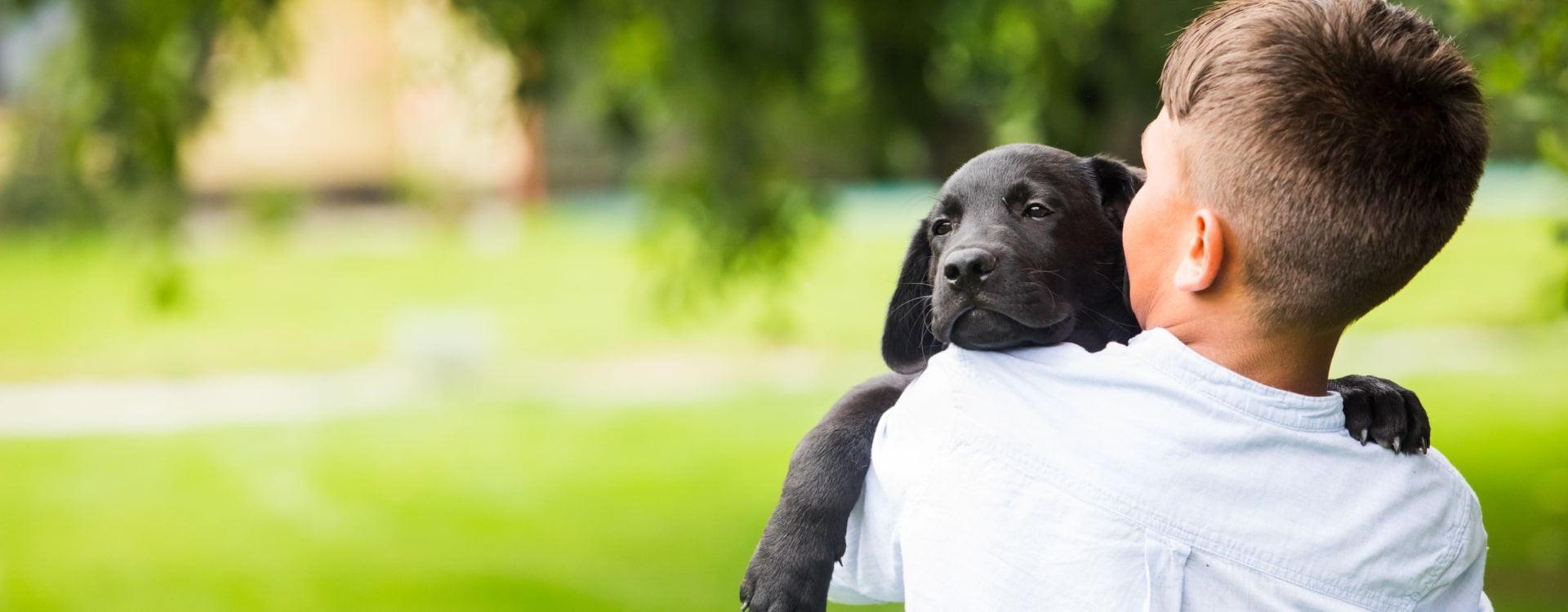Dillsboro, Indiana Pest Control Exterminator In Dillsboro, Indiana