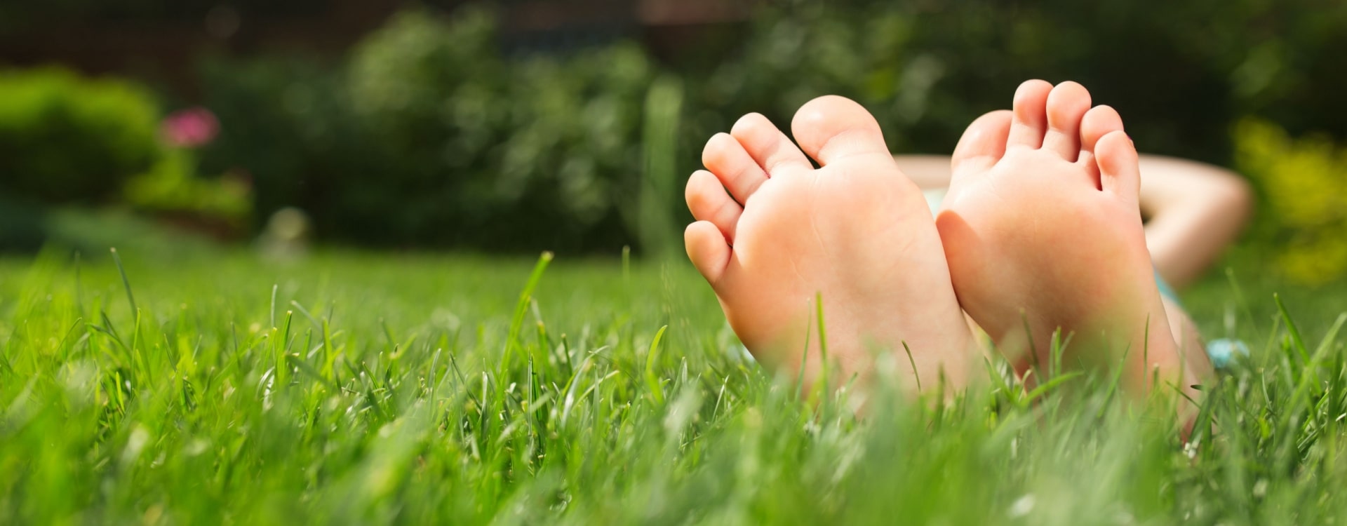 Mount Auburn Pest Control Pest Control Near Me