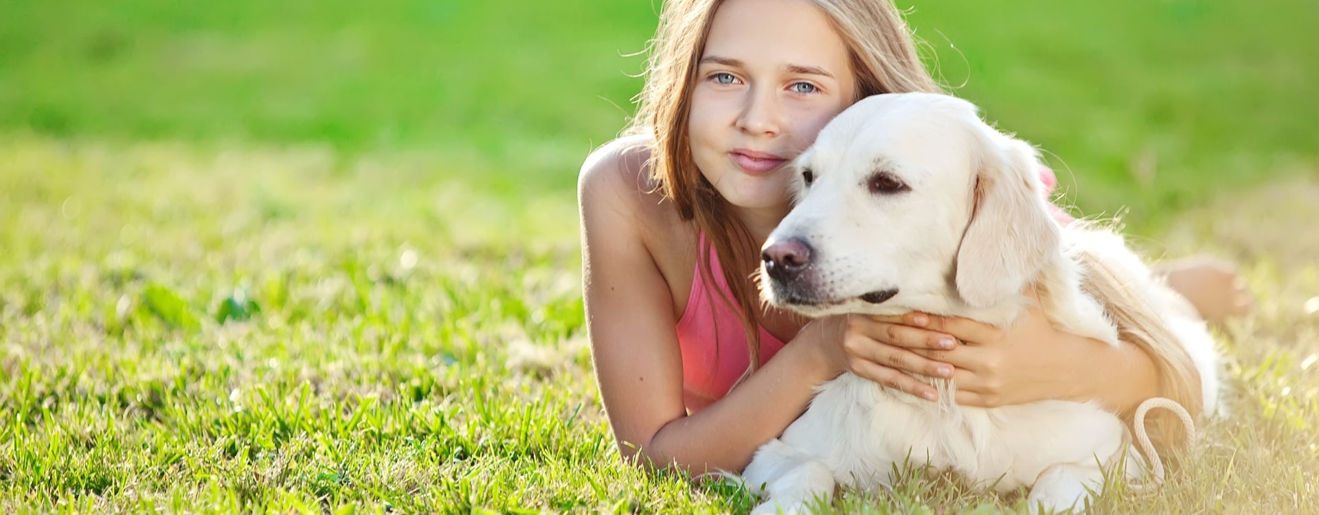 Carthage Pest Control Pest Control Near Me in Carthage