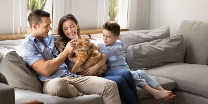 Who’s the Best Pest Control Company in Union, KY for Pet Owners?