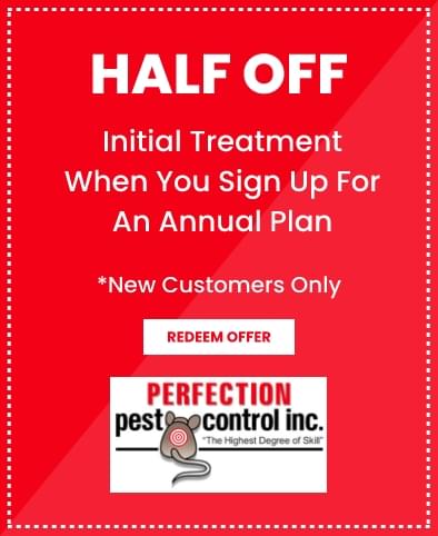 HALF OFF Initial Treatment